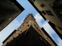 Turm des Palazzo Guinigi
