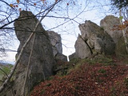 Der Römerstein wird von einem kleinen Wald umgeben