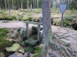 Immer wieder finden sich Informationstafeln am Rande der abenteuerlichen Wanderwege im Harz