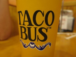 Auch die Becher sind schön designt im Taco Bus in Tampa
