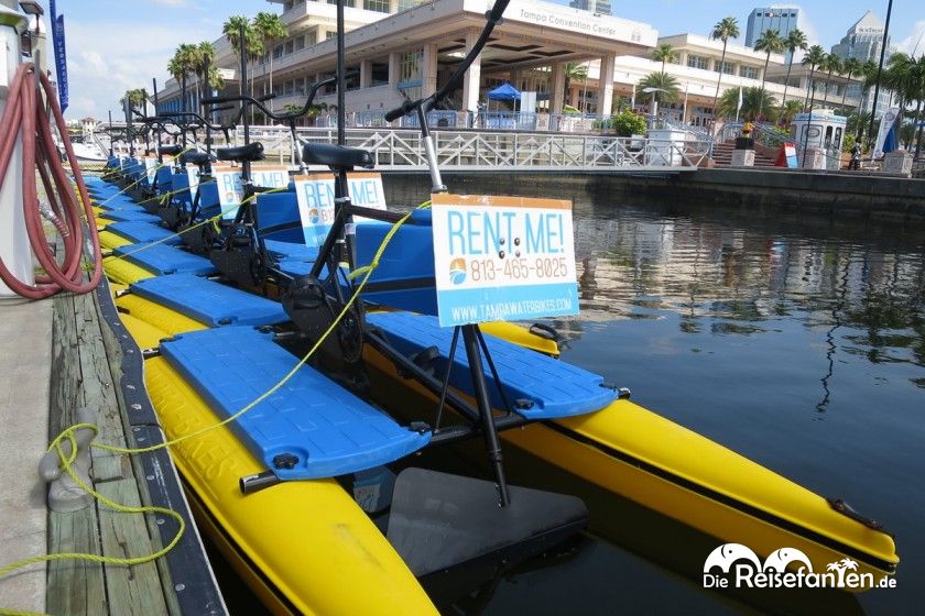 Mit diesen Wasserfahrrädern lässt sich die Wasserwelt Tampas auf eigene Faust entdecken
