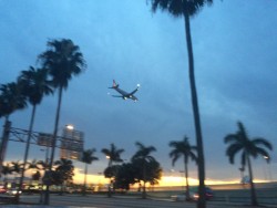 Das Red Roof Plus+ Miami Airport Hotel liegt direkt in der Einflugschneise der Flugzeuge