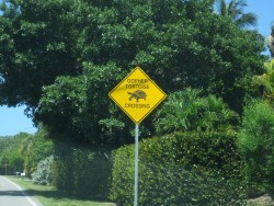 Solch ein Straßenschild wird man in Deutschland eher selten finden