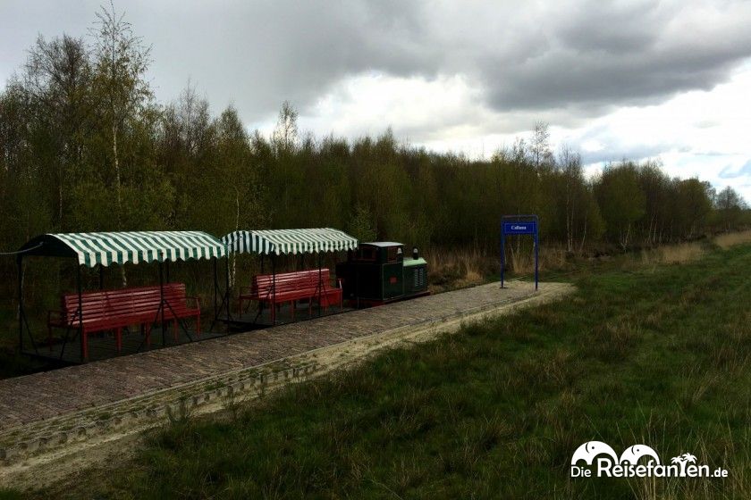 Schmalspurbahn im Veenpark in Emmen