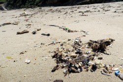 Angespülter Müll am Strand von Lu Bagnu auf Sardinien