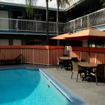 Pool im Saharan Motor Hotel in Hollywood