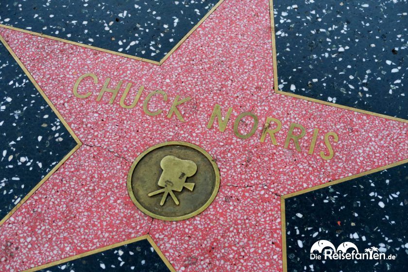 Viele Stars sind am Walk of Fame vertreten