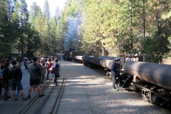 Die Yosemite Mountain Sugar Pine Railroad ist bereit zum Einsteigen