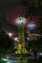 Der Gardens by the Bay in Singapur ist bei Besuchern und Einheimischen sehr beliebt