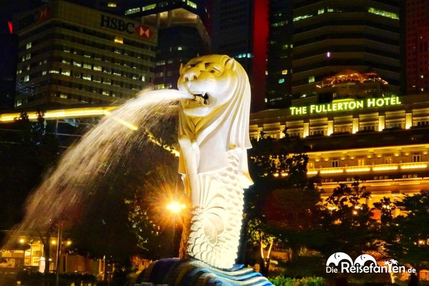 Der Merlion in Singapur bei Nacht.jpeg