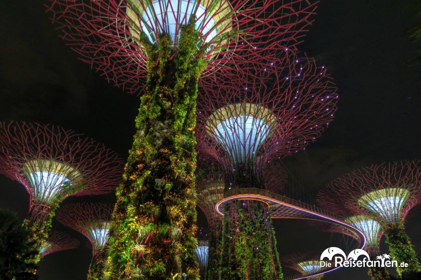 Gardens of the Bay in Singapur