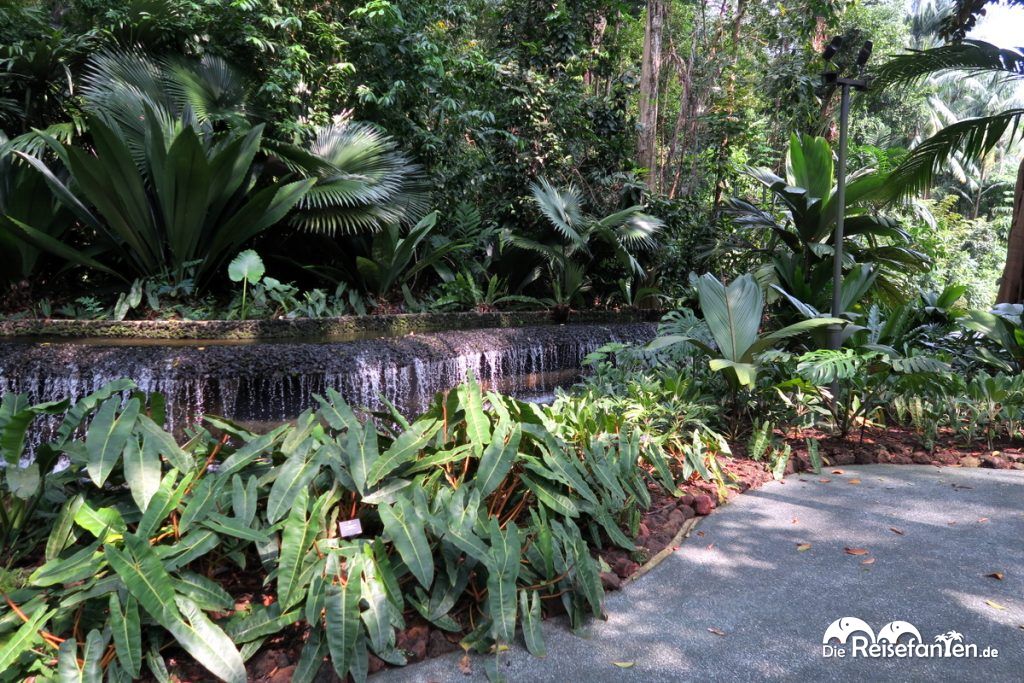 Ein Brunnen im Botanischen Garten in Singapur