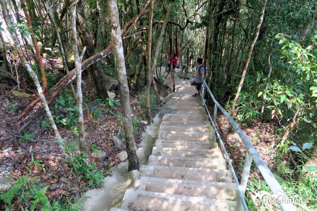 Der Fußweg zur Skybridge auf Langkawi