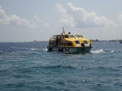 Tenderboot zwischen AIDA und Male