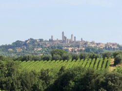 Blick auf San Gimigniano von der Fattoria Voltrona San Gimignano