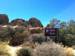 Skull Rock Formation im Joshua Tree Nationalpark