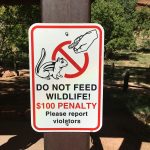 Das Füttern der Eichhörnchen ist verboten
