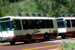 Kostenloser Shuttle im Zion Nationalpark