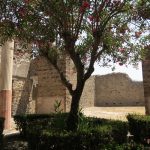 Ein Garten in einem Haus in Pompeji