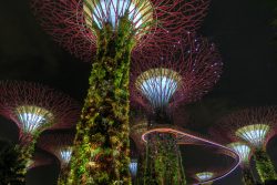 Der Gardens by the Bay in Singapur ist allabendlich beleuchtet