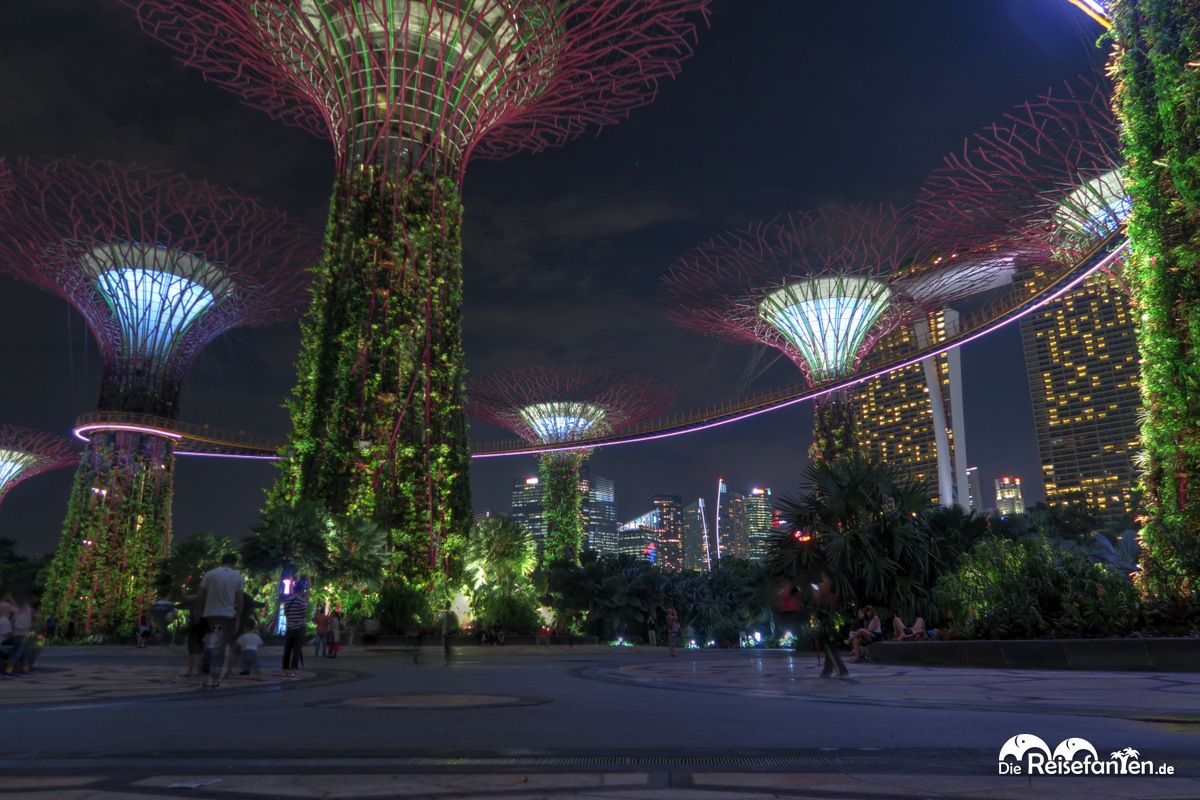 Die beleuchteten Bäume im Gardens by the Bay in Singapur