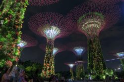 Kostenloser Publikumsmagnet ist der Gardens by the Bay in Singapur