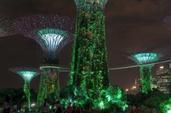 Lichtschauspiel im Gardens by the Bay in Singapur