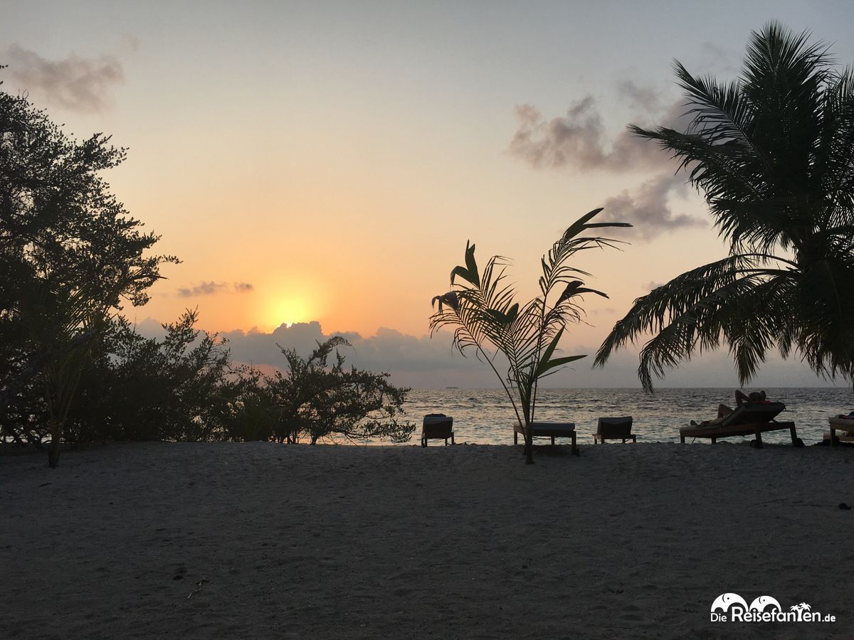 Sonnenuntergang Am Strand Im Bandos Resort Auf Den Malediven Reisefanten De