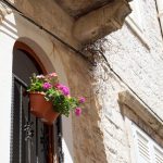 Blumen am Gebäude in Trogir