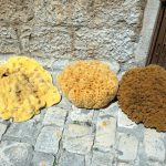 Schwämme zum Verkauf in Trogir