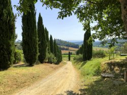 Auf dem Gelände der Fattoria Voltrona San Gimignano