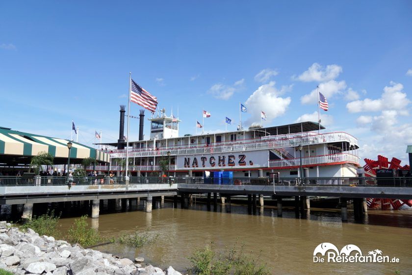 Das Steamboat Natchez in New Orleans