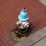 Ein Hydrant, gesehen von Bord des City Sightseeing New Orleans Busses