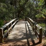 Geführte Wegstrecke auf der Wormsloe Plantation in Savannah