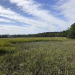 Weite Sicht auf der Wormsloe Plantation in Savannah