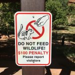 Auch das Füttern von Grauhörnchen ist in diesem Park verboten