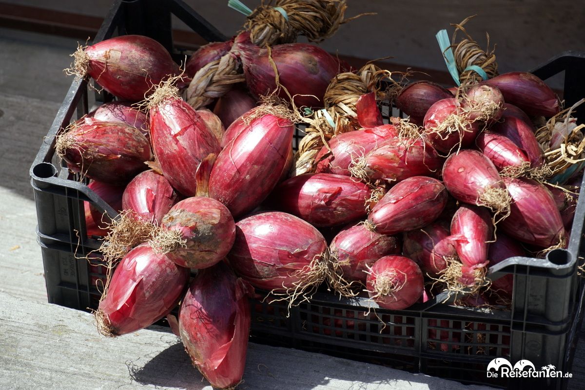 Die süße Zwiebel aus Tropea