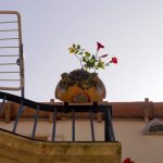 Blumenkasten im italienischen Scilla