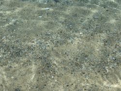 Klares Wasser in Tropea