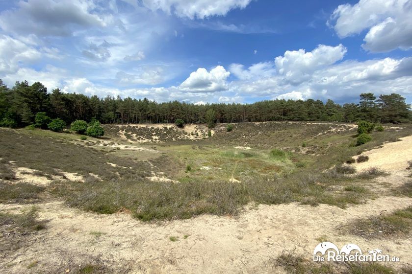 Schöne Natur in der Lüneburger Heide