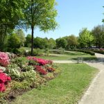 Ausnahmesweise mal eine Stelle mit wenig Blüten im Rhododendronpark in Bremen