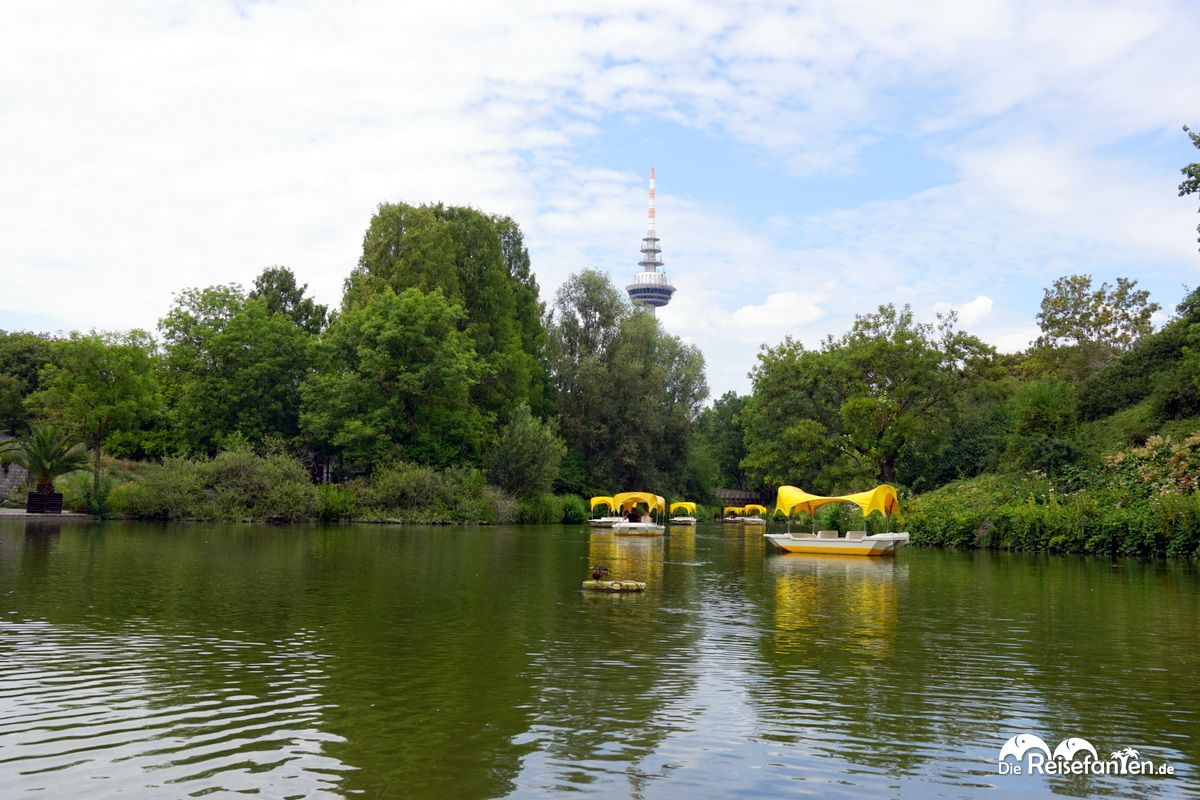 Boote der Gondoletta im Luisenpark Mannheim vor dem Fernmeldeturm