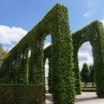 Aufwändige Bepflanzung im Schwetzinger Schlosspark
