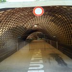 Impressionen aus der Multihalle im Mannheimer Herzogenriedpark 11