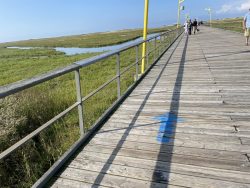 Markierung auf der Seebrücke in Sankt Peter Ording
