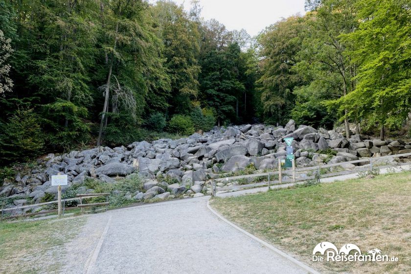 Das Felsenmeer im Odenwald besteht aus lauter Felsen Kopie