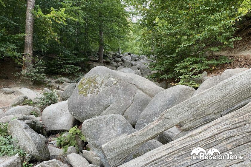 Das Felsenmeer im Odenwald ist ein Abenteuer für die ganze Familie Kopie