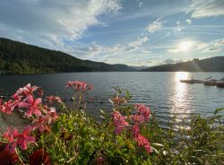 Der Titisee