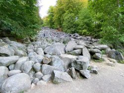 Groß und Klein klettern durch das Felsenmeer im Odenwald