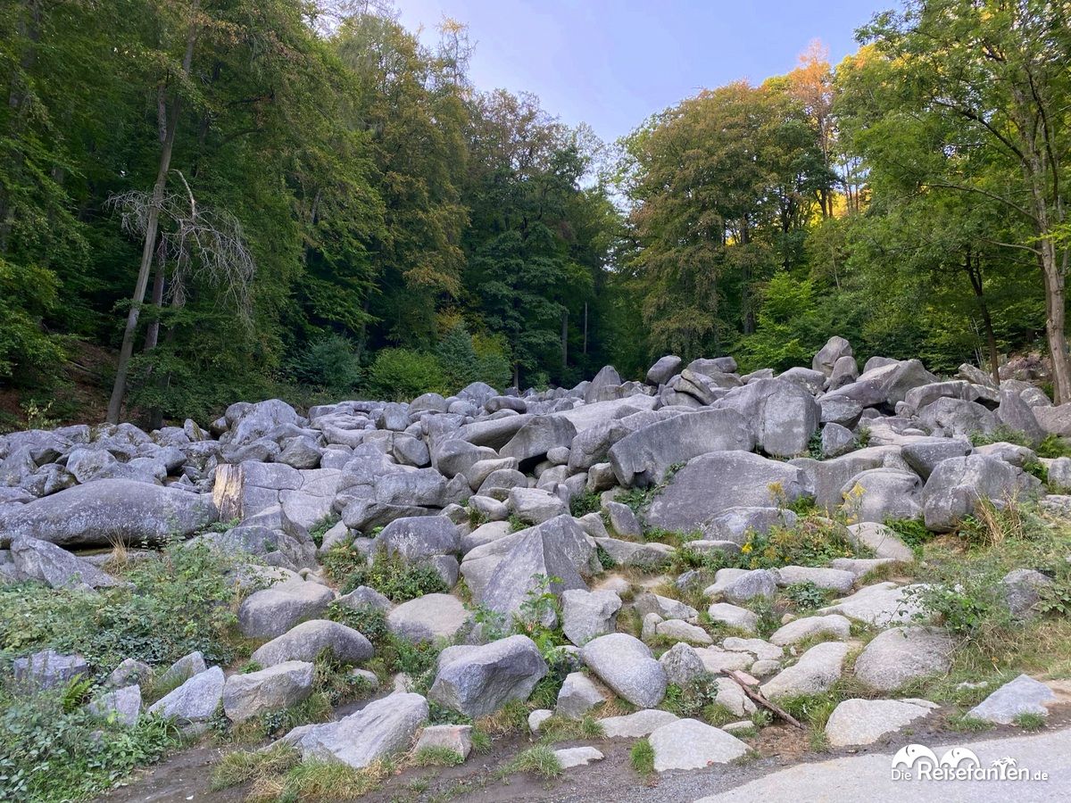 Über große und kleine Felsen kann im Felsenmeer im Odenwald geklettert werden